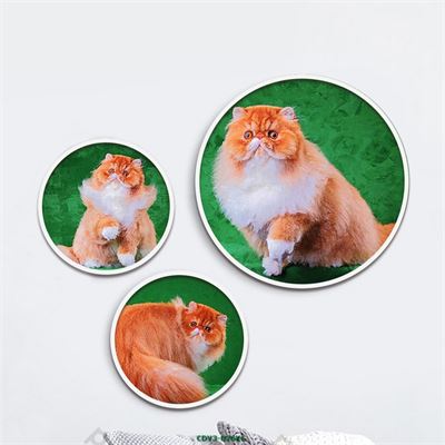 Động vật CDV3-026KG