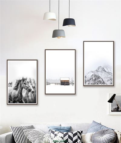 Động vật CDV3-144KG1