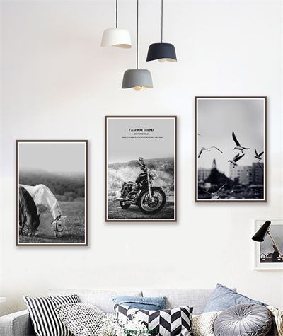 Động vật CDV3-147KG1