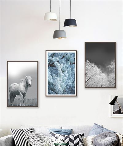 Động vật CDV3-156KG1