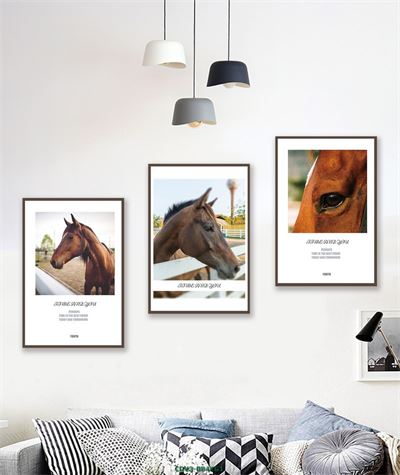 Động vật CDV3-084KG1