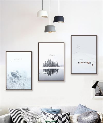 Động vật CDV3-146KG1