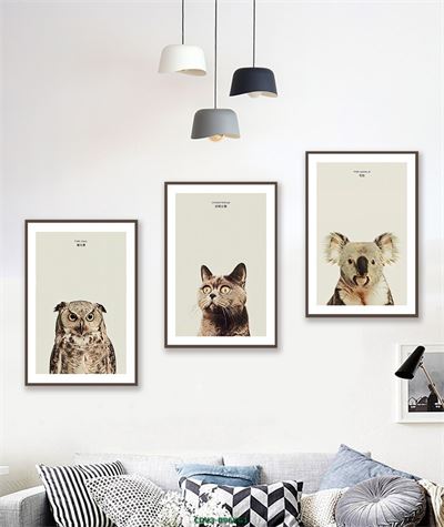 Động vật CDV3-096KG1