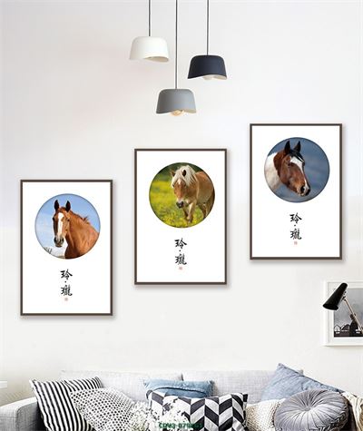 Động vật CDV3-079KG1