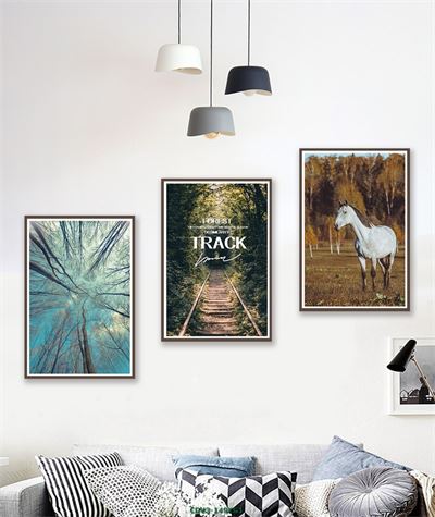 Động vật CDV3-149KG1