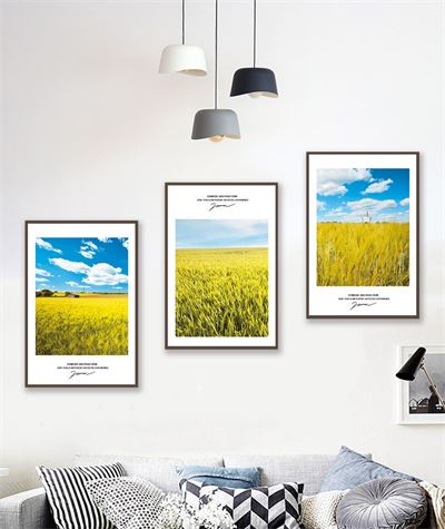 Cánh đồng buổi sớm mai CBT3-556KG