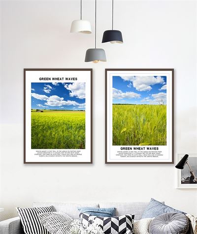 Cánh đồng xanh CBT2-030kg