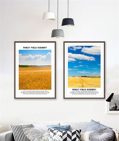 Cánh đồng vàng CBT2-028kg