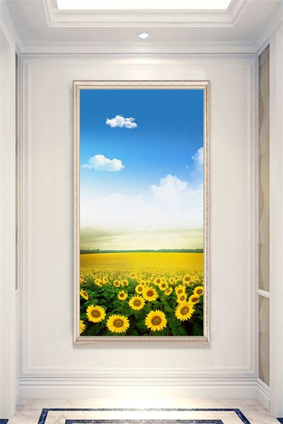 Cánh đồng hoa hướng dương CBT1-502KG