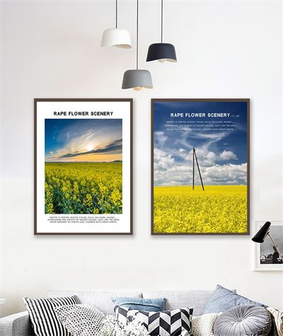 Mùa hoa cải CBT2-042kg