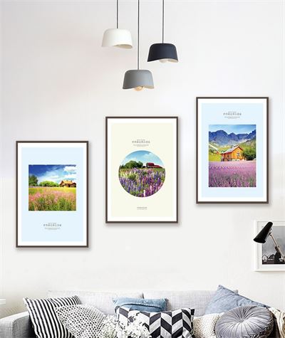 Cánh đồng hoa oải hương CBT3-503KG