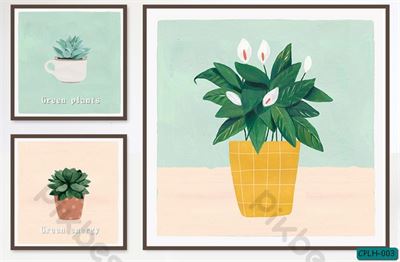 bộ chậu cây nhỏ xinh CPLH-003