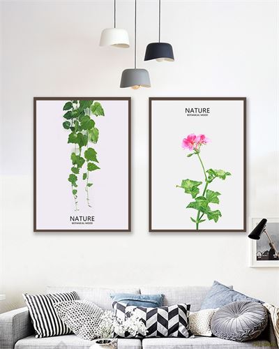 Tranh bộ hoa dây CPL2-055KG