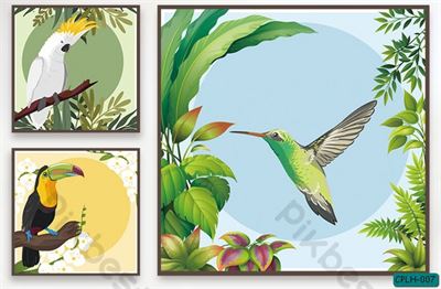 Tranh bộ các loài Chim CPLH-007